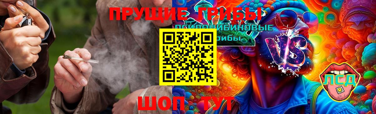 Галлюциногенные грибы Psilocybe Каменск-Уральский