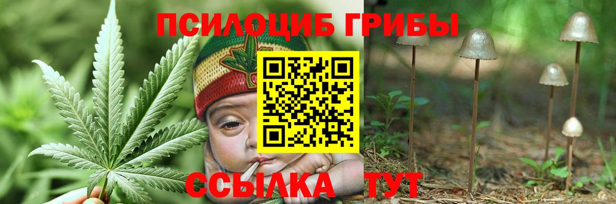 Галлюциногенные грибы MAGIC MUSHROOMS  Вход с VPN  Каменск-Уральский 